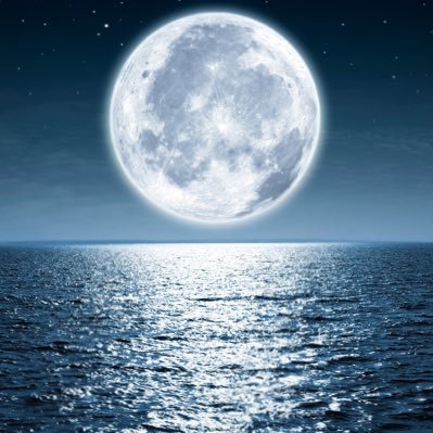 kamislk's profile picture. 