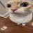 虎命の介護士。小学生の時から阪神一筋16年の虎党🐯 好きな選手は近本光司。期待してる選手は西純矢、井上広大、前川右京🐯