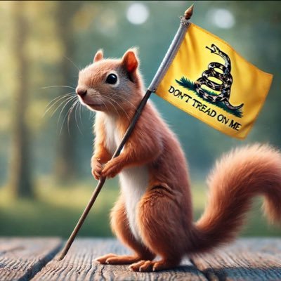 mcdevittdm's profile picture. “But did you die?”