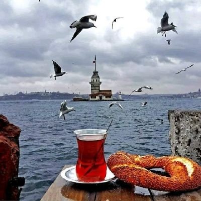 propofollaw's profile picture. Dr, anesthesia registrar . interested in tech .