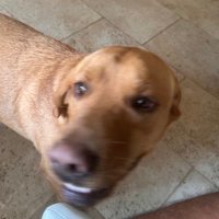 Xmus Jaxon Flaxon-Waxon (@jchud212) 's Twitter Profile Photo Xmus Jaxon Flaxon-Waxon (@jchud212) 's Twitter Profile Photo