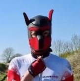 Chien Cyclisteさんのプロフィール画像