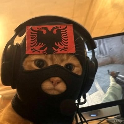 PCprincipalNFT's profile picture. 🇩🇪/ 🇦🇱