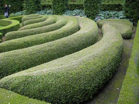 MarieTromp's profile picture. Groenauteur | bomenfan | groendocent en tuincoach. Tekstschrijver over groen  en tuinen | groen onderwijs, roeien, groene speelplaatsen.