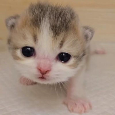 ًさんのプロフィール画像