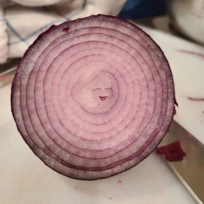 JulianHelm2158's profile picture. the sorrows of young onion