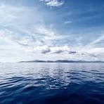 collection216's profile picture. 