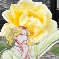 フーコ(取引垢) (@_fuko_10) 's Twitter Profile