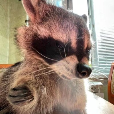 Eralpastorino's profile picture. Siempre pensando en algo