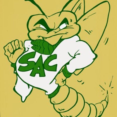 Fan Page for your Sacramento State Hornets! #stingersup
