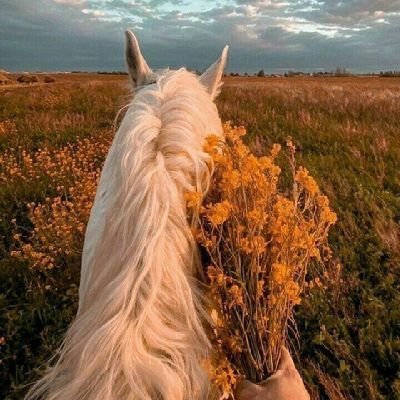 وشلون دار الوقت وأصبحَت ذكرى..°
https://t.co/AkJZvK9Jvq
🍂
ماني بشاعره بس للشعر ذويقه
أحب جزل القصيد الممتع الراقي
♡▪︎