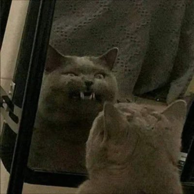 twitter is home