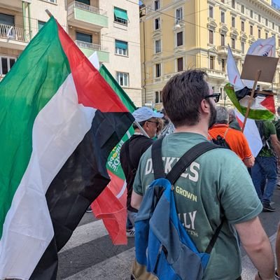 morganti_enrico's profile picture. Blogger, influencer, cantautore, scrittore, intellettuale. Non sono nulla di tutto ciò.
🇵🇸

INFJ-T
Zemaniano e sefardito
