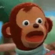 KentoSolana's profile picture. The awkward look monkey on @bonk_fun 🐒