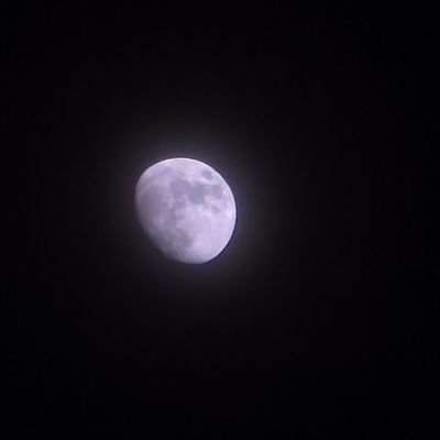 Interested in Psychological research (all scientific research in general), stats and keto lifestyle.