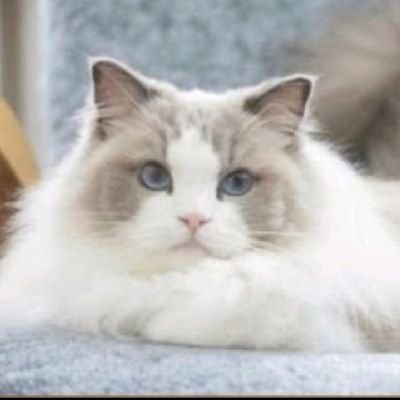 jiroda777's profile picture. 旅行✈️ドライブ🚗お酒🍺スイーツ🍰野球⚾️ゲーム🎮️カラオケ🎤