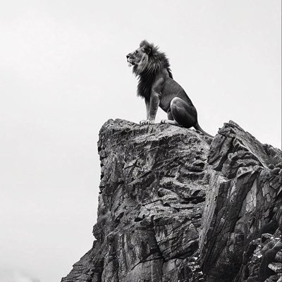 marinhomtt's profile picture. Yeshua ❤️‍🔥