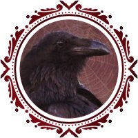 icarus (@zaddyamber) 's Twitter Profile