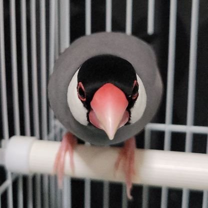 v7w_l's profile picture. 