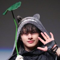 totoro, CPA🌷 (@junhuiskers_) 's Twitter Profile