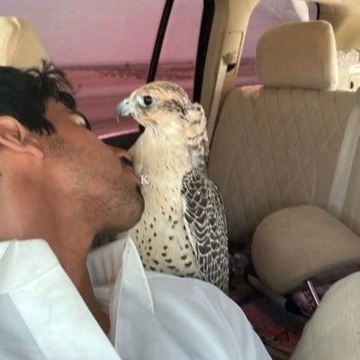 basem1770's profile picture. إفلاس بالكلمات بينما الشعُور فائض جدًا