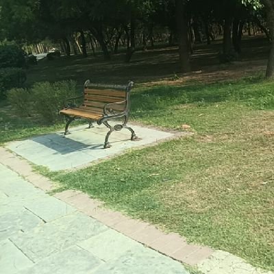 RaniVerma118's profile picture. My life is best