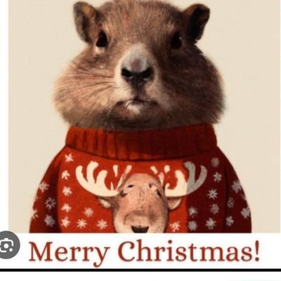 JFKFan12345__'s profile picture. you'll find out