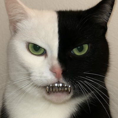 caiobmrqs's profile picture. tá bom qualquer coisa vai avisando