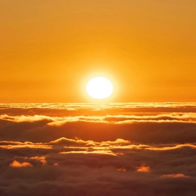 RiseAndAlign's profile picture. 🌞 Awaken. Align. Ascend.
💫 Daily signs, angel numbers & messages from the universe.