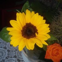 百華 (@k62yxa47nc75248) 's Twitter Profile Photo