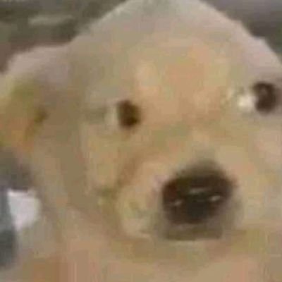 aleatorio_sss's profile picture. provoke society