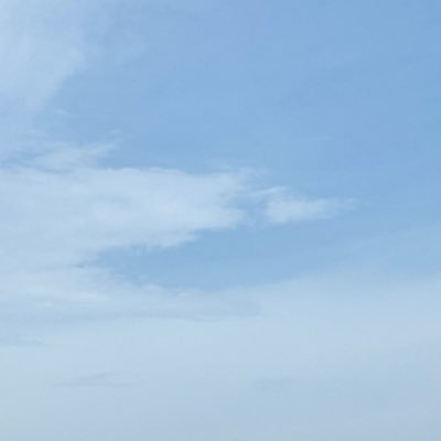 tiiingso's profile picture. 🌱