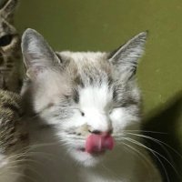 ふぅ太 (@fuuta_hera27) 's Twitter Profile