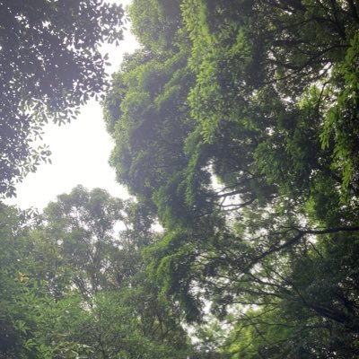 せいさんのプロフィール画像