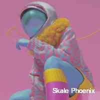 skalke_phoenix's profile picture. Web 3 educator, strategist, nft consultant and founder at triple helix advisors | infrequent spaces host