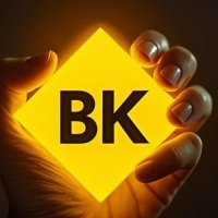 BK (@bkfun1) 's Twitter Profile