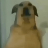 emicoco3x (@97emiloco) 's Twitter Profile