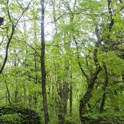 せいがと申します。食欲、睡眠欲、遊び欲に抗わない色々楽しむ人間です。演技はとっても難しいけどとっても楽しい。
クリエイターズラボ夢想花習作「永遠の終わりを、君と。」ユリス役、ボイスワークス東京第25.5回公演「星の王子さま」ポイント係・大人3・挿絵マン