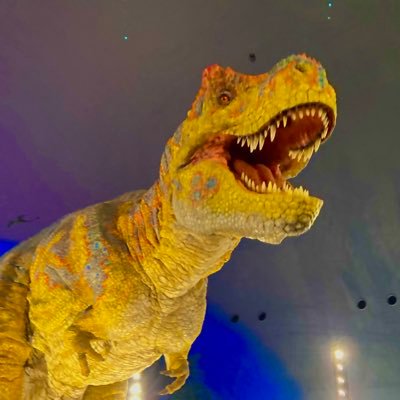 dino_Riku's profile picture. 恐竜学検定中級 将来の夢は古生物学者です！好きな古生物、恐竜はティラノサウルス類🦖とアンモナイトです！ツイートはぼぼ全て恐竜！　恐竜について勉強中です！ティラノは唇派です！好きな骨の部位は 腸骨•恥骨•坐骨