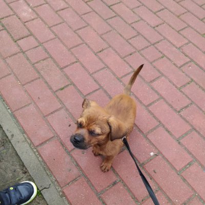 GgPl88's profile picture. 