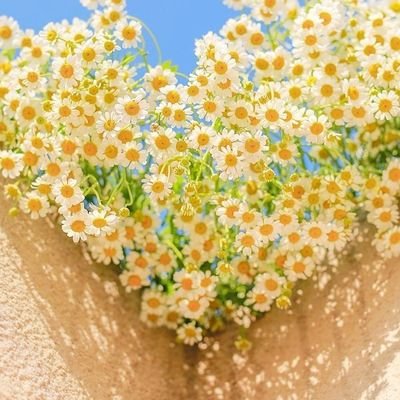 20(이상) 잡덕 좌우고정
최근 애정캐(라쓰고 컾이라 읽는다) 카이신(코난),야미진/마왕진/아템진(유희왕), 스탄제노(닥터스톤) 같이 해주세요🥺
탈덕은 없다 잡덕만 있을 뿐이다😃