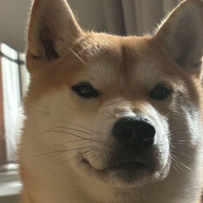 https://t.co/T6h9pLEVPY

小事稳 大事狠