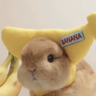 @kanaisbunny