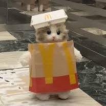 AxeCanyon's profile picture. on the come up