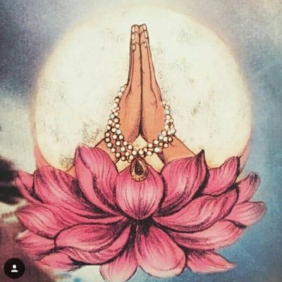 neasjkr's profile picture. chata