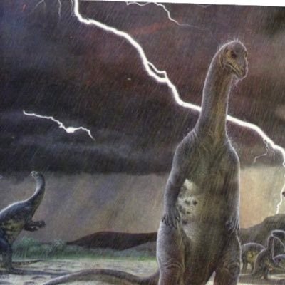 C_STORMZ_Wx's profile picture. Future Storm Chaser!⛈️🌪️ Certified Storm Spotter⛈️👀 Weather Enthusiasts🤩