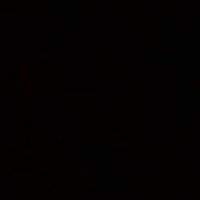 tslover (@tslover_1) 's Twitter Profile