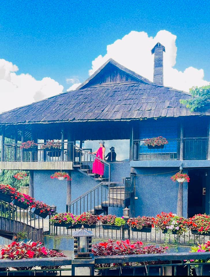 Yqeci7393's profile picture. 