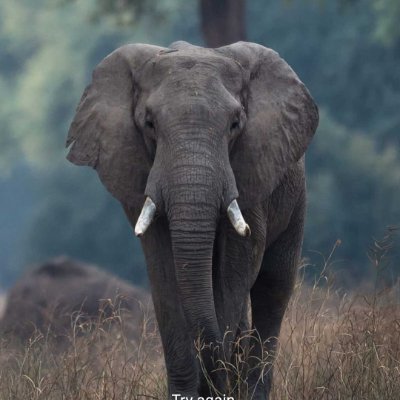 Amit26541442's profile picture. 