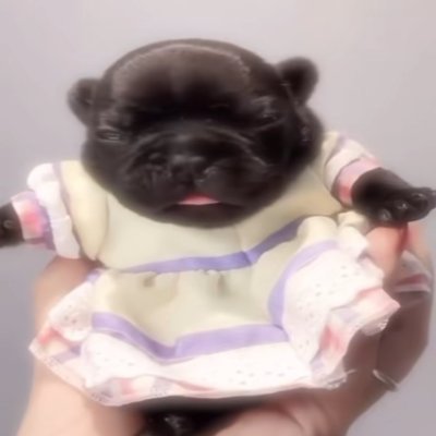 ItsLenixy's profile picture. Holy hell i make videos? Youtube-ImLenixy Twitch-ItsLenixy i try not to be stupid on here